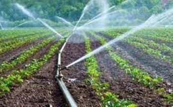 irrigation