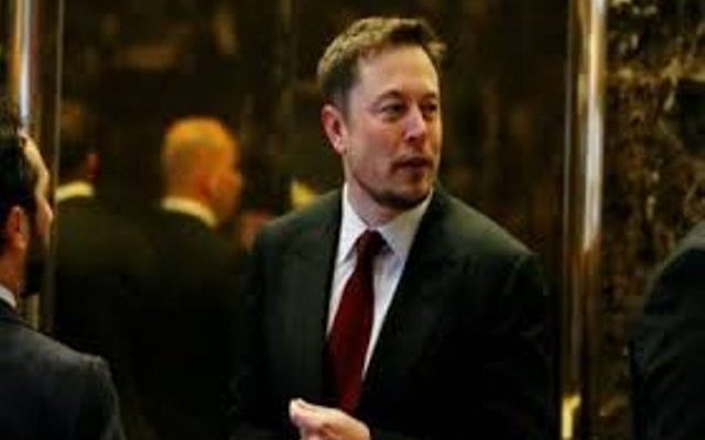 Musk