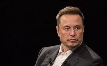 Musk