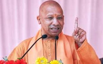 yogi