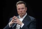 elon