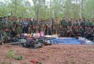 naxalite