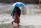 rainfall