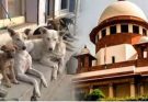 court