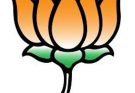mla