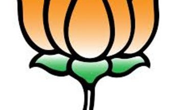 mla