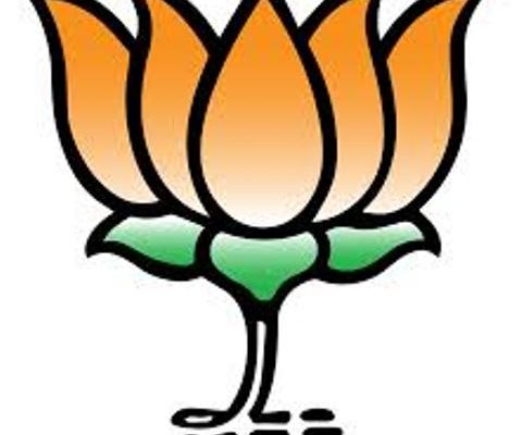 mla