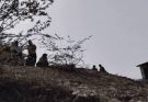 ग्वालियर तिघरा डैम हादसा: 17 घंटे बाद दूसरे मेडिकल छात्र का शव बरामद