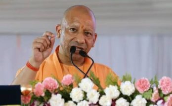 yogi