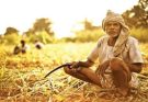 मध्य प्रदेश में किसानों से बात करने के लिए सरकार ने बनाई समिति