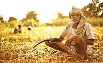 farmers