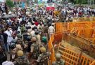 मध्य प्रदेश में मूंग उत्पादक किसानों से 60 प्रतिशत उपज खरीदी जाएगी