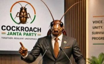Cockroach